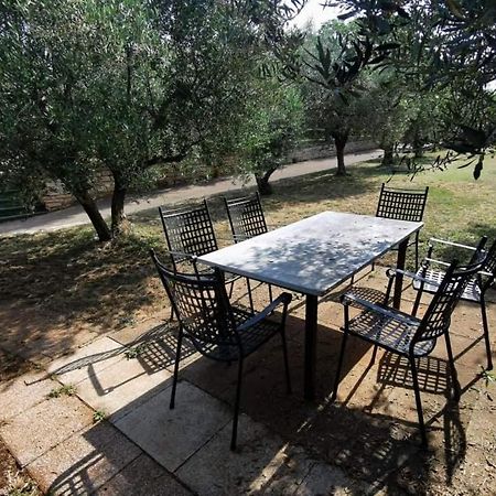 Apartamento App Carla Novigrad Istria Exterior foto