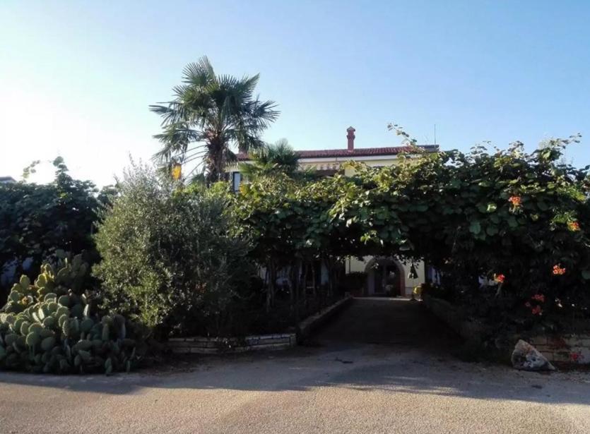 Apartamento App Carla Novigrad Istria Exterior foto