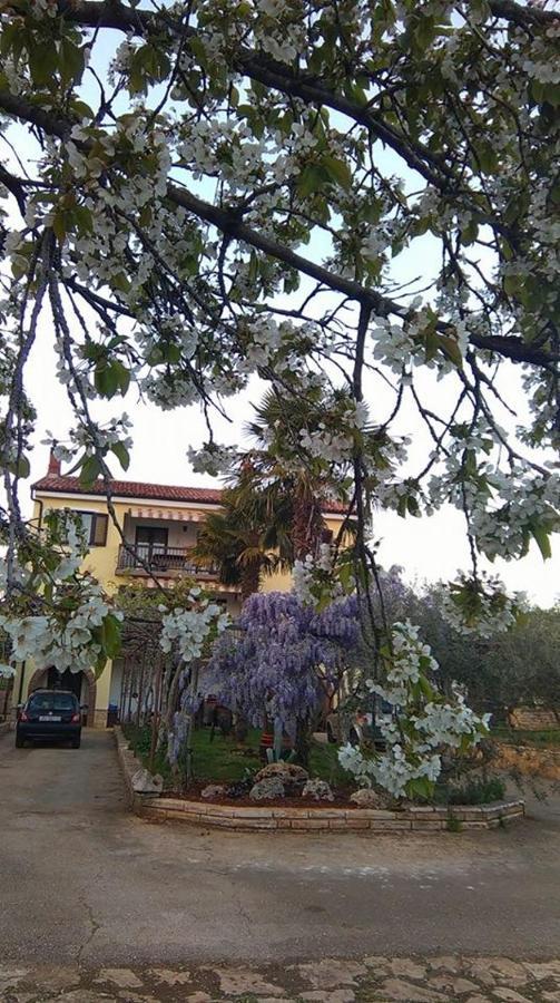Apartamento App Carla Novigrad Istria Exterior foto