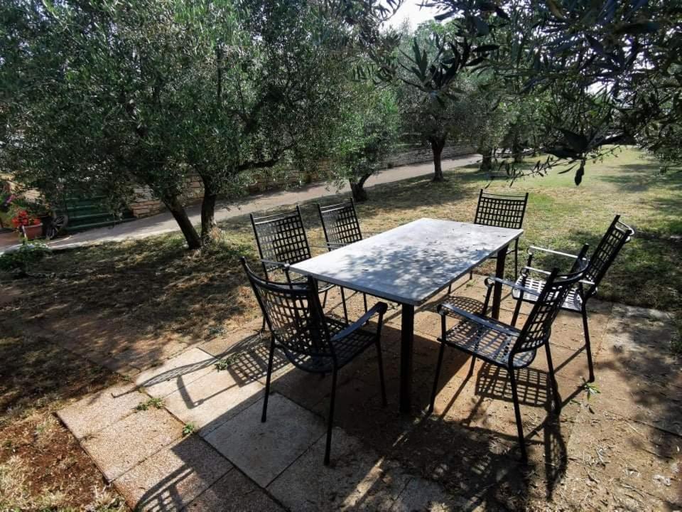 Apartamento App Carla Novigrad Istria Exterior foto