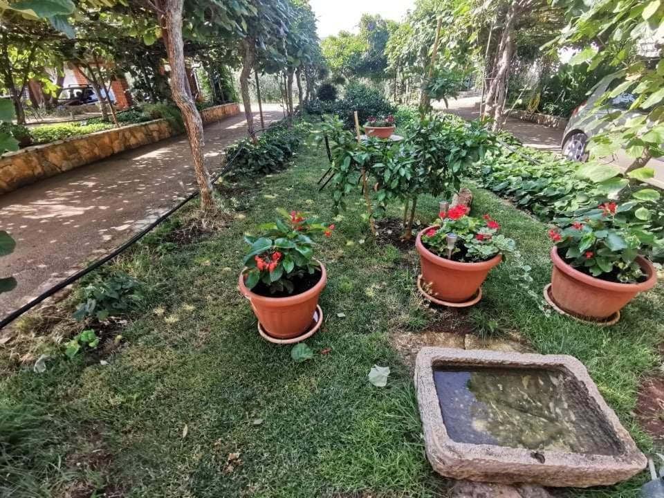 Apartamento App Carla Novigrad Istria Exterior foto