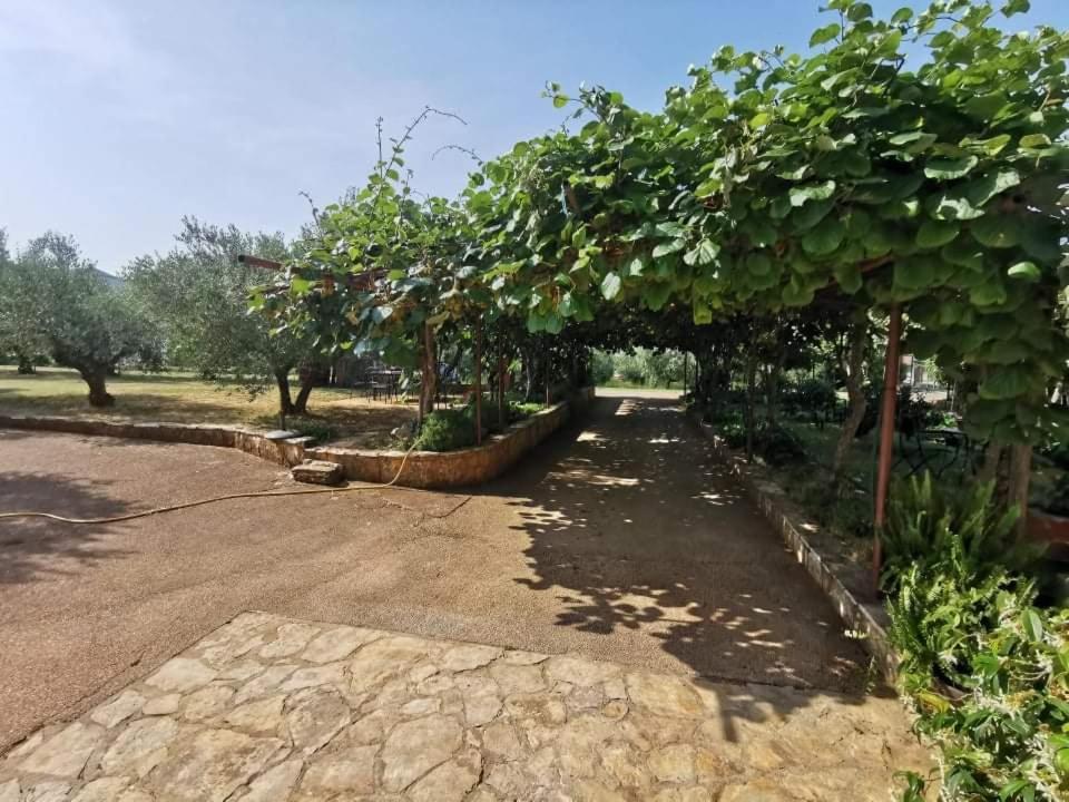 Apartamento App Carla Novigrad Istria Exterior foto